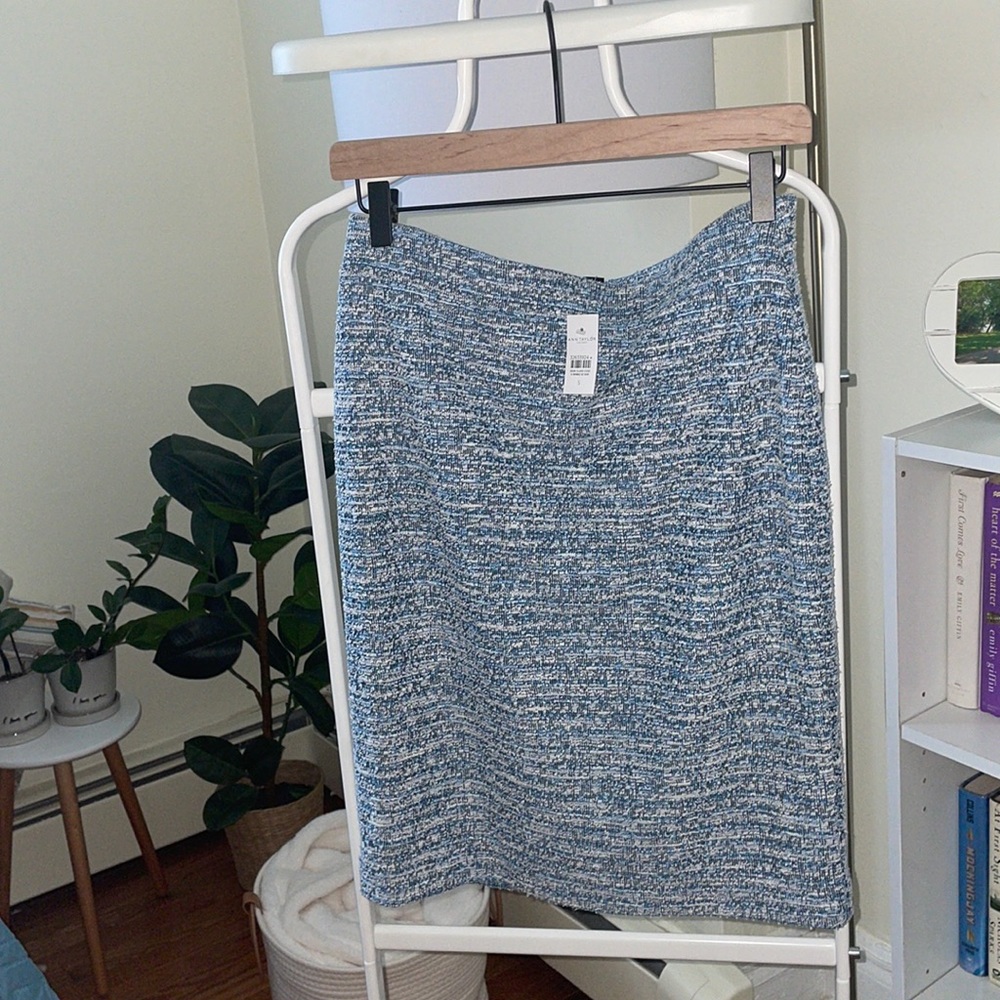 Ann Taylor Factory Blue and White Skirt